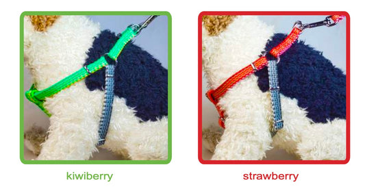 Dog Harness- Haight Ashberry Reflective