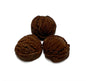 Muddy Paws (Basics) Case of 40