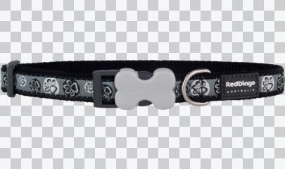 Buckle Bone Dog Collars - Paw Impressions
