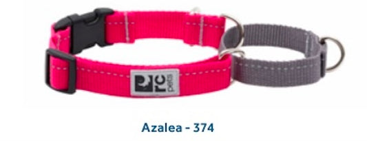 RC Pets Azalea Azalea - 374 collar in pink and grey