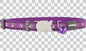 Cat Collars - Design - Desert Paws