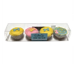 Summer Mini Cupcake Box (Everyday)