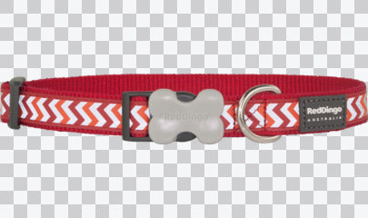 Buckle Bone Dog Collars - Reflective