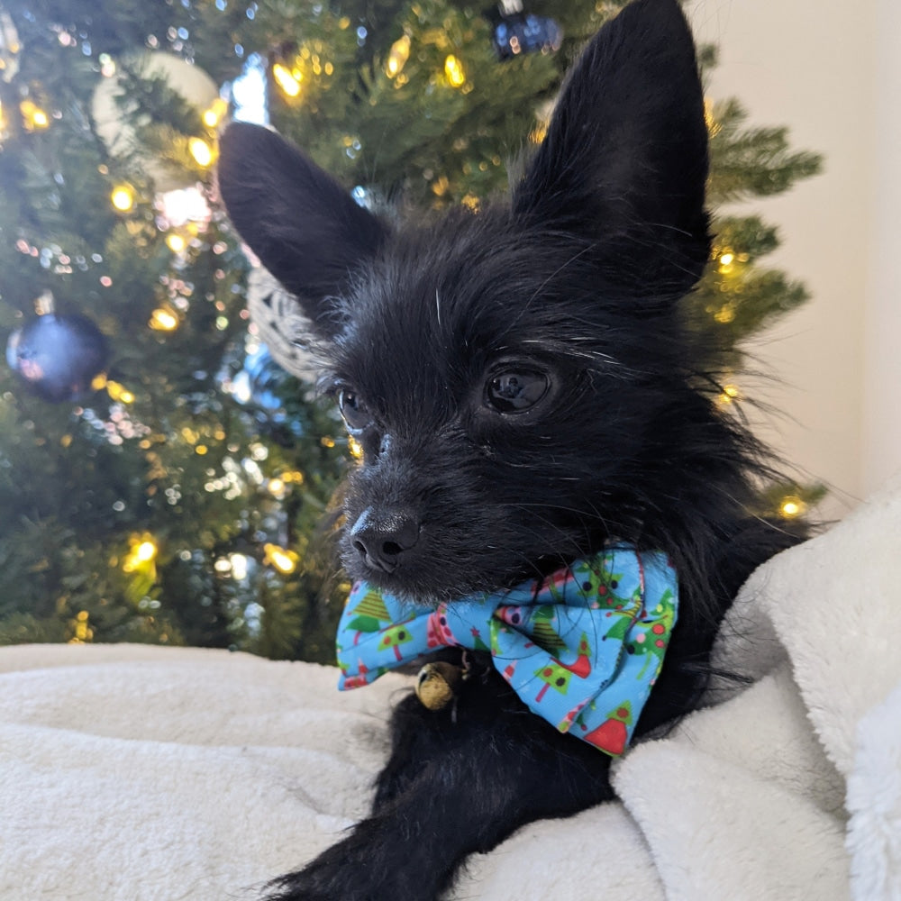 Xmas Trees Bow Tie