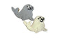 Everyday- Seal Pups- Tray of 12