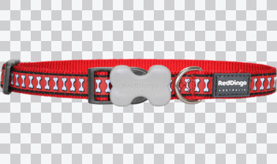 Buckle Bone Dog Collars - Reflective