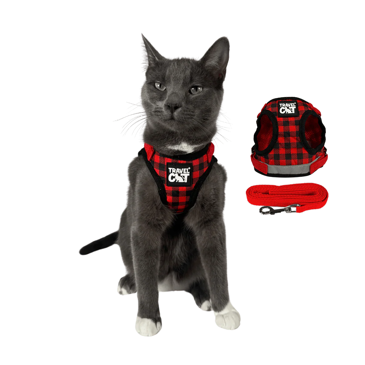 "The True Adventurer" Harness & Leash