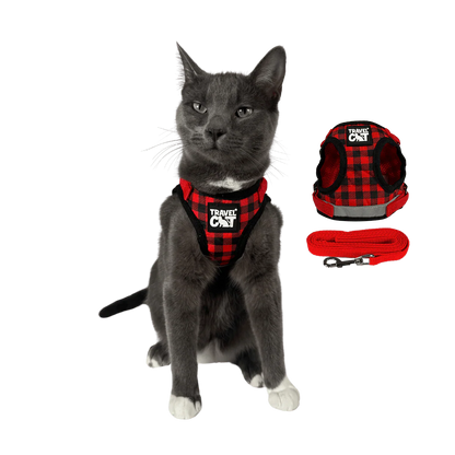 "The True Adventurer" Harness & Leash