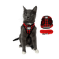 "The True Adventurer" Harness & Leash