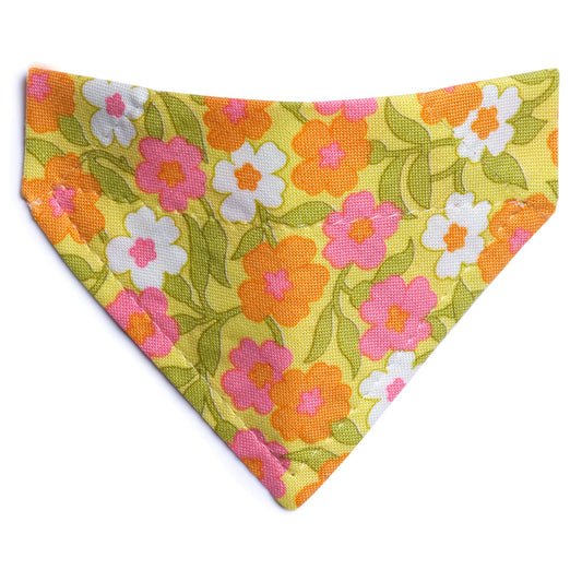 The Glamper - Cat Bandana