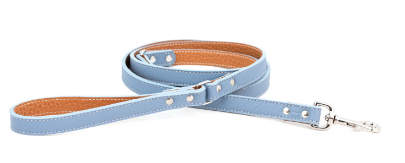Light blue leather dog leash with tan interior and silver hardware