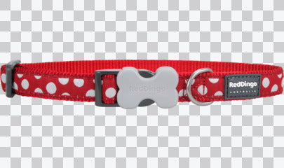Buckle Bone Dog Collars - Design - Spots