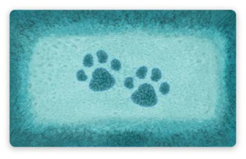 Paw Print Reactive Collection