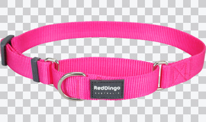 Martingale Dog Collars - Classic (Solid)