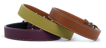 Auburn Leather Tuscan collars in purple green and brown leather with white stitching