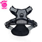 Eddie Bauer Comfort Harness (Inner Pack 6)