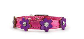 Flower Power Collars Leather Collars & Leads