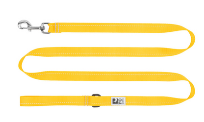 Leash Primary