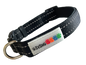 Neoprene Padded Nylon Dog Collar